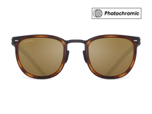 Черные мужские солнцезащитные очки-хамелеоны Douglass, вайфареры, изготовленные из титана, с фотохромными линзами Zeiss #color_коричневый монолит / фотохром